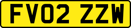 FV02ZZW