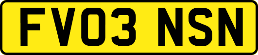FV03NSN