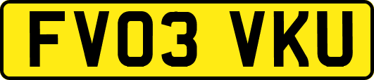 FV03VKU