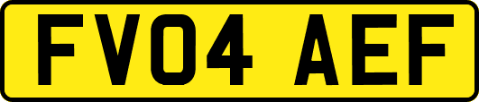 FV04AEF