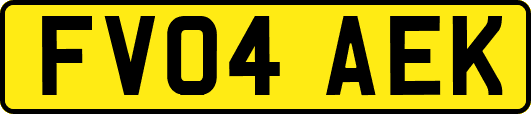 FV04AEK