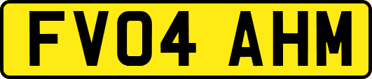 FV04AHM
