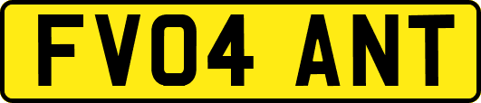FV04ANT