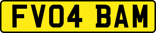 FV04BAM