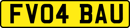 FV04BAU