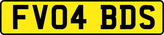 FV04BDS