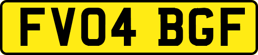 FV04BGF