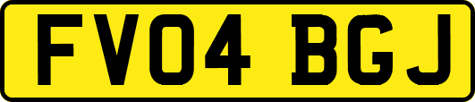 FV04BGJ