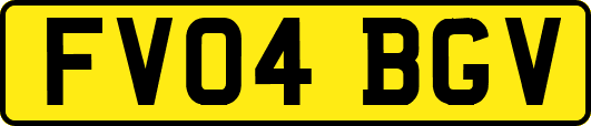 FV04BGV