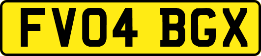 FV04BGX
