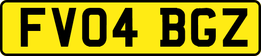 FV04BGZ