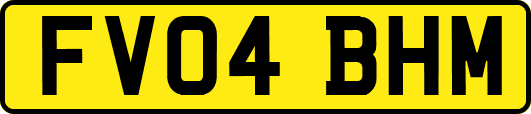 FV04BHM