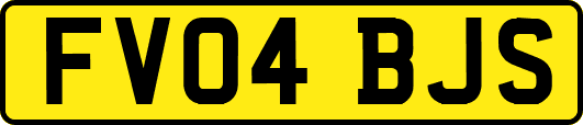 FV04BJS