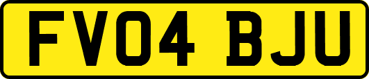FV04BJU