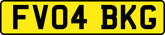 FV04BKG
