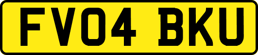 FV04BKU