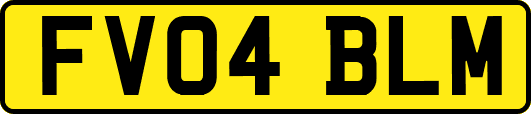 FV04BLM