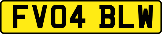 FV04BLW