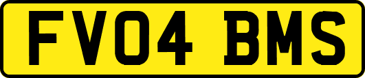 FV04BMS