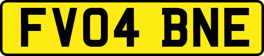 FV04BNE