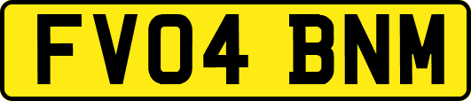 FV04BNM
