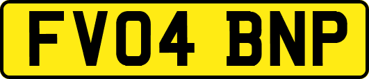 FV04BNP