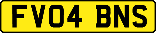 FV04BNS