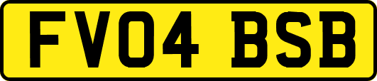 FV04BSB
