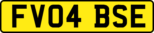 FV04BSE