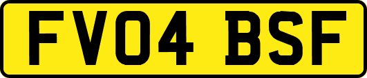 FV04BSF