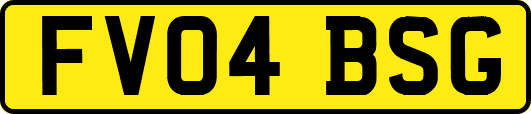 FV04BSG