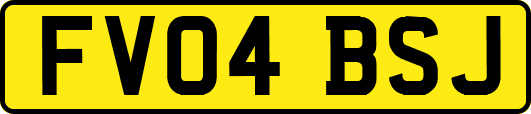 FV04BSJ