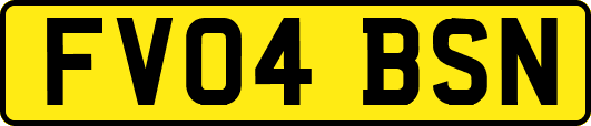 FV04BSN