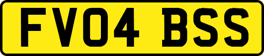 FV04BSS