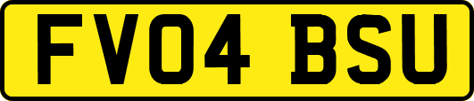 FV04BSU