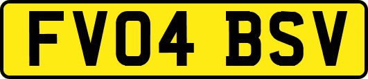 FV04BSV