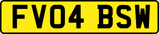 FV04BSW