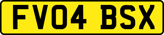 FV04BSX