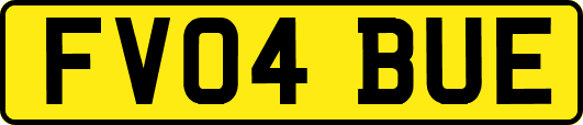 FV04BUE