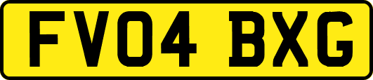 FV04BXG