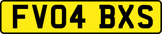 FV04BXS