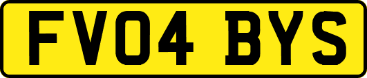 FV04BYS