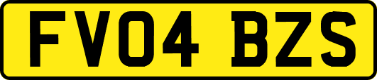 FV04BZS
