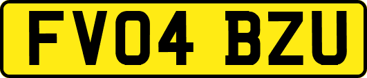 FV04BZU