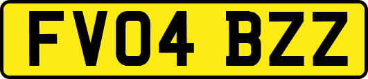 FV04BZZ