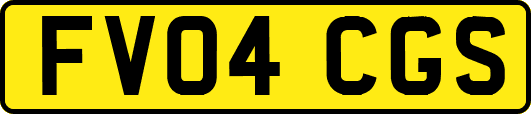 FV04CGS