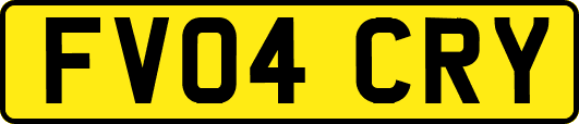 FV04CRY