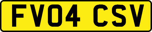 FV04CSV