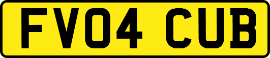 FV04CUB