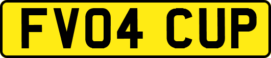 FV04CUP